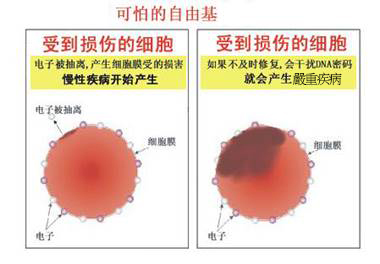 描述: http://www.cellfood.com.hk/cellfood/cellfood.files/2006082017082963887.jpg