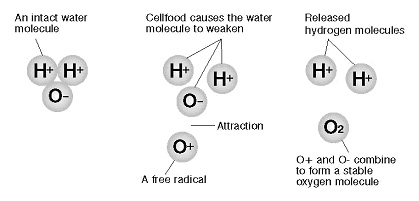 描述: splittingchart